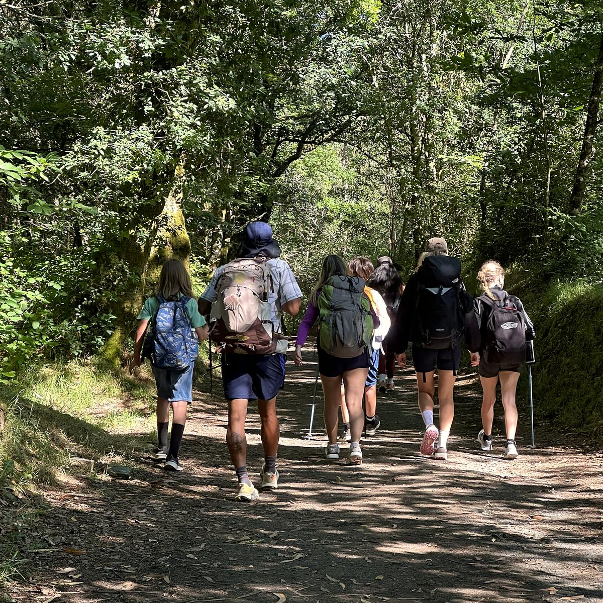 Peregrinos en el Camino de Santiago